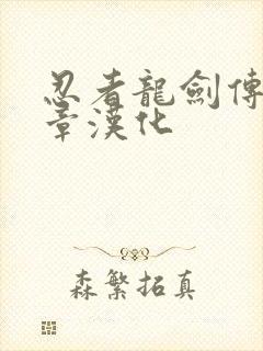 忍者龙剑传黑之章汉化