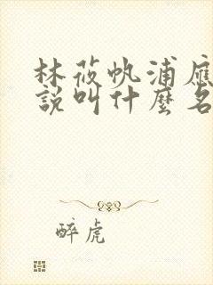 林莜帆浦应辛小说叫什么名字