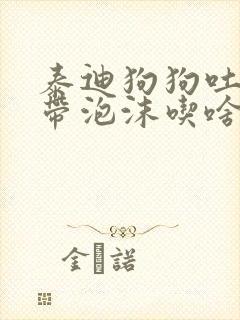 泰迪狗狗吐黄水带泡沫吃啥药