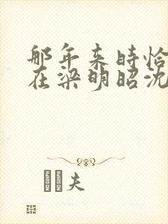 那年来时恰逢你在梁明昭沈砚卿在线阅读