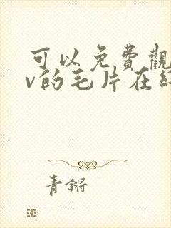 可以免费观看av的毛片在线观看