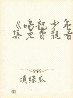 《鸣龙少年》全集免费观看