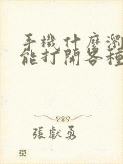 手机什么浏览器能打开各种网站