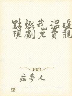 点燃我温暖你电视剧免费观看完整版