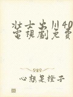 壮士出川40集电视剧免费在线观看