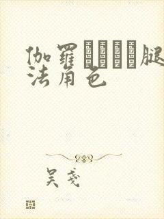 伽罗ちゃんが腿法角色