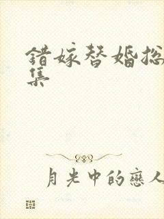 错嫁替婚总裁全集