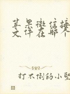 苹果微信接收的文件在哪个文件夹