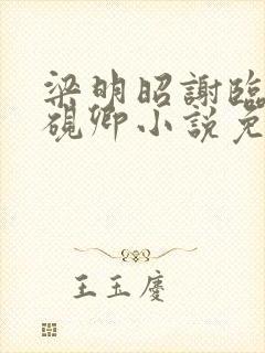 梁明昭谢临风沈砚卿小说免费阅读