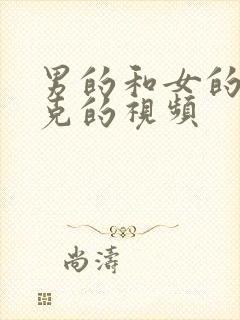 男的和女的打扑克的视频