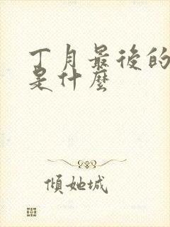 丁月最后的结局是什么