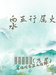 向五行属火还是水