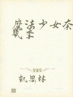 魔法少女奈叶有几季