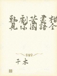 韩剧苦尽柑来遇见你国语全集