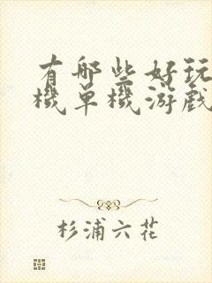 有哪些好玩的手机单机游戏