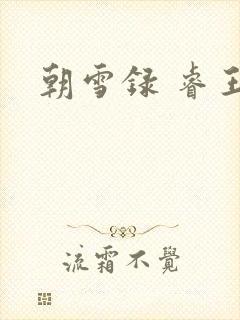 朝雪录 睿王