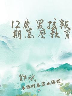 12岁男孩叛逆期怎么教育