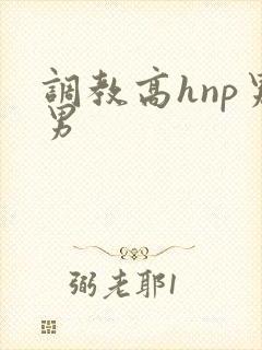 调教高hnp男男