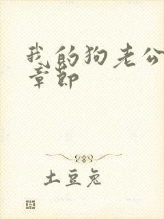 我的狗老公最新章节