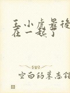 王小虎最后和谁在一起了