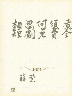 相思何须煮余年短剧免费全集