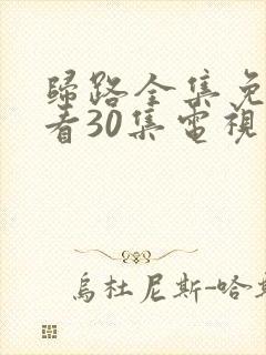归路全集免费观看30集电视剧