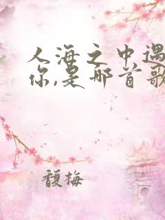 人海之中遇见了你,是哪首歌的词