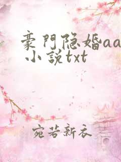 豪门隐婚aa制 小说txt