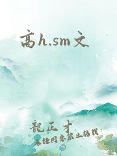 高h.sm文
