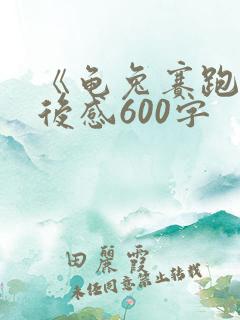 《龟兔赛跑》读后感600字