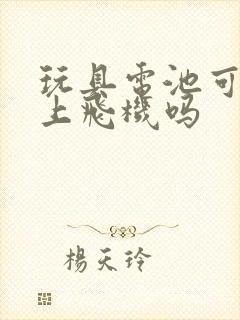 玩具电池可以带上飞机吗