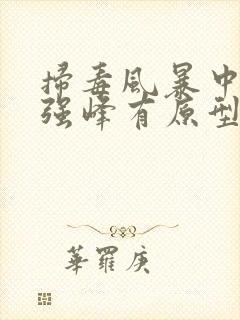 扫毒风暴中的林强峰有原型吗