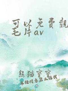 可以免费观看的毛片av