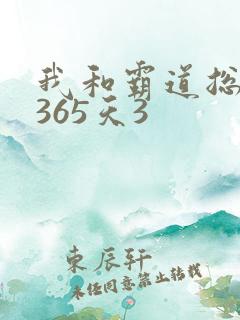 我和霸道总裁的365天3