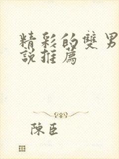 精彩的双男主小说推荐