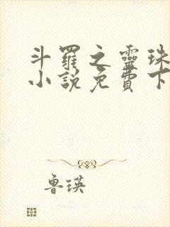 斗罗之灵珠神剑小说免费下载