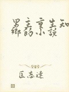 男主重生知青下乡的小说