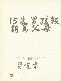 15岁男孩叛逆期骂父母