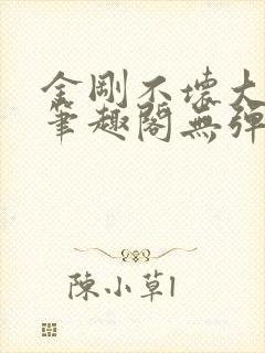 金刚不坏大寨主笔趣阁无弹窗