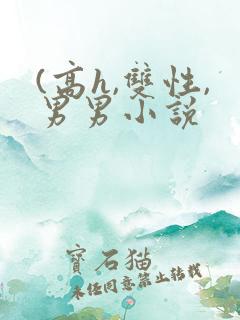 (高h,双性,男男小说