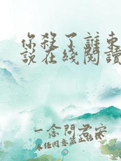 你杀了谁东野小说在线阅读