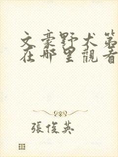 文豪野犬第二季在哪里观看