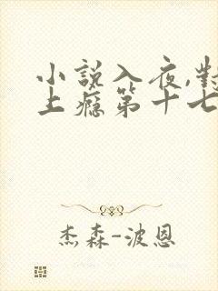 小说入夜,对她上瘾第十七章
