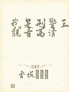 我是刑警王免费观看高清