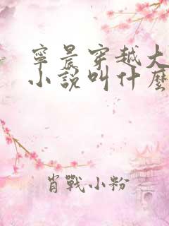 宁晨穿越大玄的小说叫什么名字