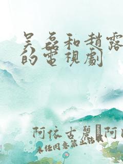 吴磊和赵露思演的电视剧