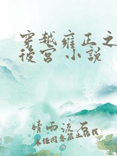 穿越雍正之极品后宫 小说