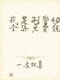 我是刑警40集全集免费观看