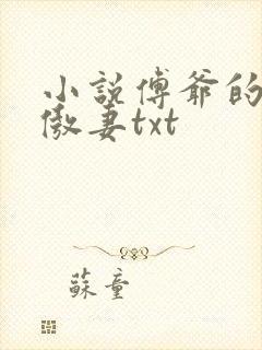 小说傅爷的王牌傲妻txt