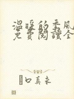 温暖的季风小说免费阅读全文最新章